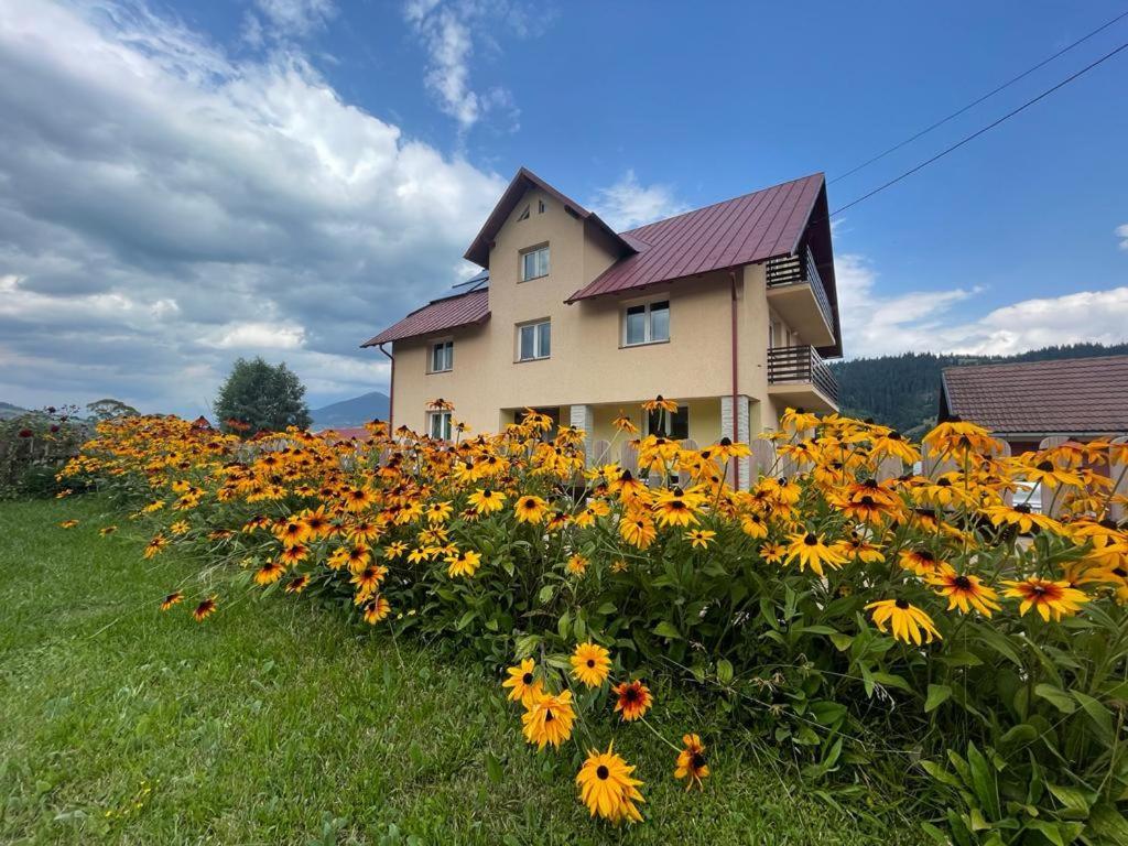 Pensiunea Gentiana Vatra Dornei Esterno foto